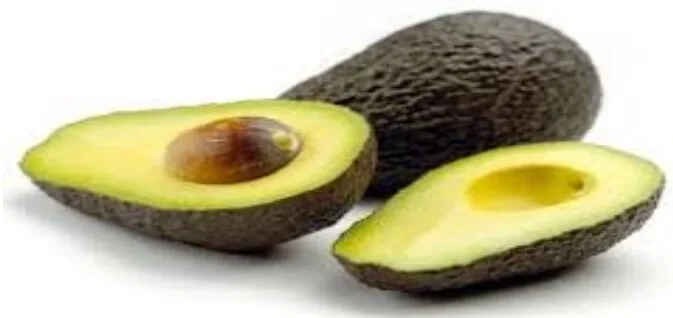 Avocado