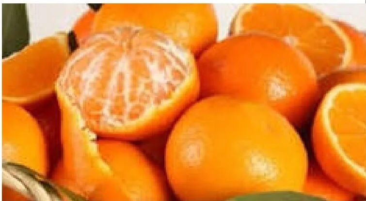 Oranges (Kinnow)