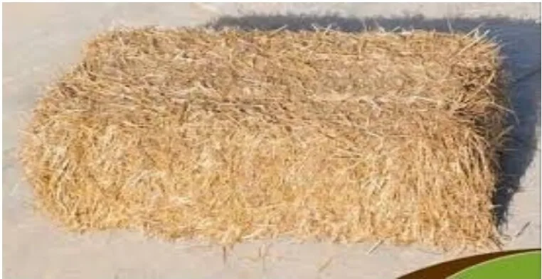 Wheat Straw